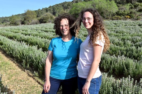 PHOTO PHILIPPE LEBLANC / A RIBAUTE MARTHE MARIE ROUX PHARMACIENNE ET VIGNERONNE PREND LA RELEVE DE SA MERE MARIE PAULE POUR S'OCCUPER DES VIGNES FAMILIALES ET CULTIVER DES PLANTES MEDICINALES COMME LE ROMARIN