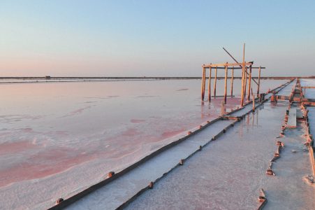 Marais salants de Gruissan